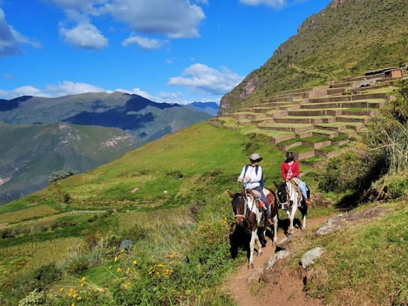 Huchuy-Qosqo-Horse-Reading