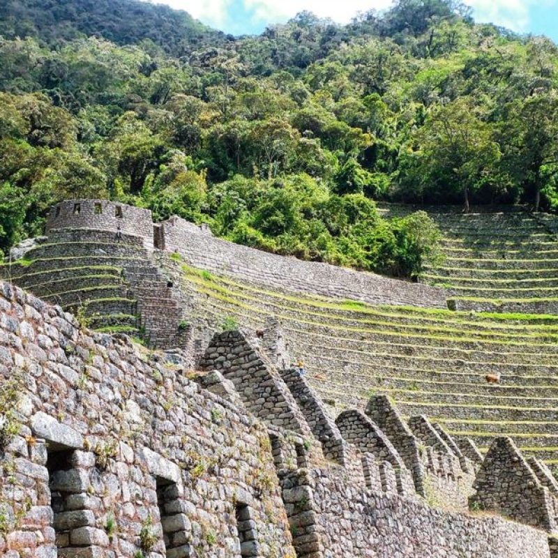 winay-huayna-camino-inca